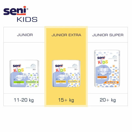 Seni Kids